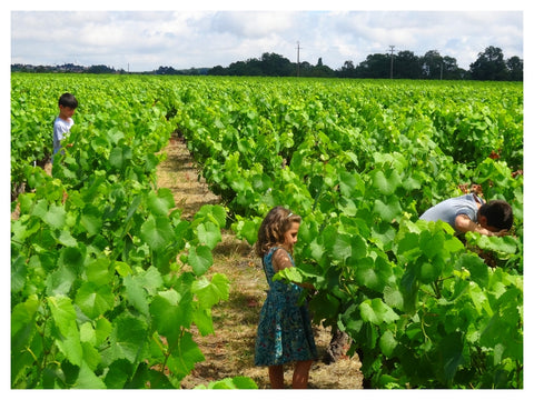 Methode Traditionnelle Cuvée Signée Rosé Domaine R de la Grange