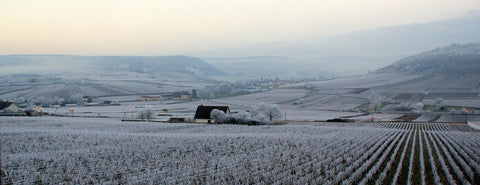 Snow in Burgundy at Domaine Boussey's tiny vineyard. Wine at Home. Fast delivery across the UK.