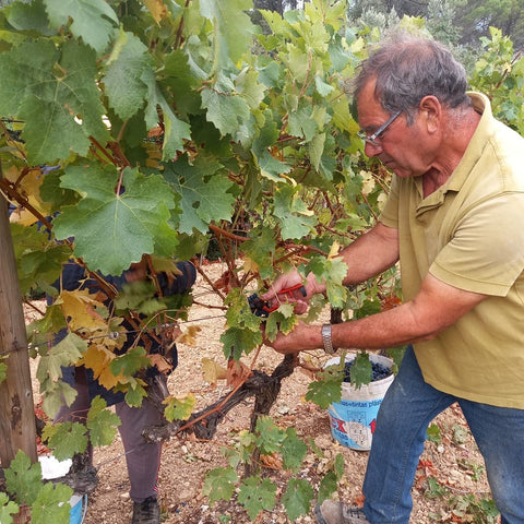 Encosta do Vale Galego Touriga National IG Tejo 2015