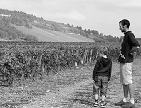 Generational vineyards using traditional methods. No chemicals. Fine Burgundy from tiny plots in South West Beaune at Domaine Boussey. Wine at Home.