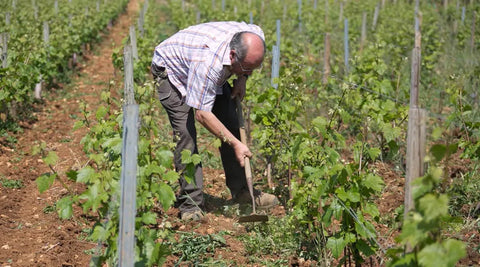 Meursault AOC 2020, Domaine de la Galopiere