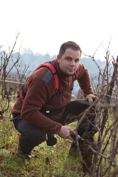 Meursault AOC 2020, Domaine de la Galopiere