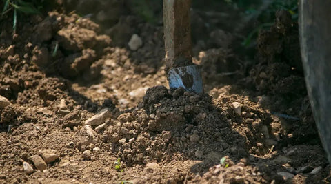 Bourgogne AOC Cuvée Perle Rare 2020, Domaine de la Galopière