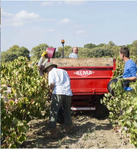 Grenache VdP du Comté de Grignan 2021, Domaine Bois Vieux