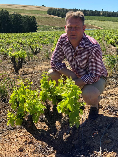 Chenin Blanc 2019 Truter Family Wines - Wine at Home