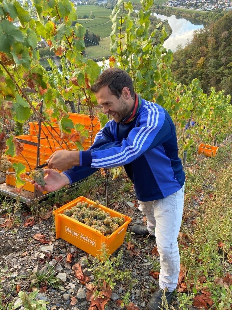 2016 Penner-Ash Estate Vineyard Pinot Noir | Penner-Ash Wine