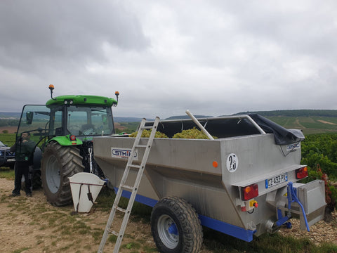 Chablis AOC 2022, Jean-Pierre et Alexandre Ellevin