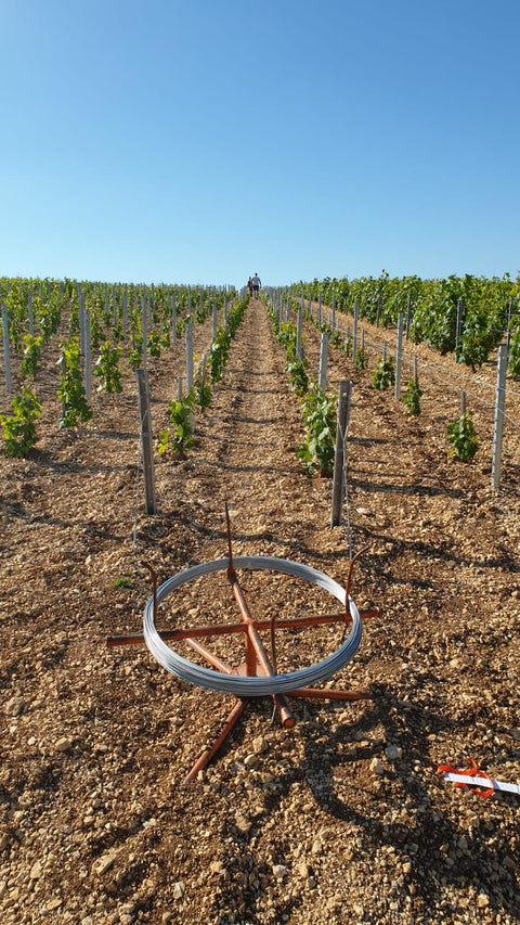 Chablis AOC 2022, Jean-Pierre et Alexandre Ellevin