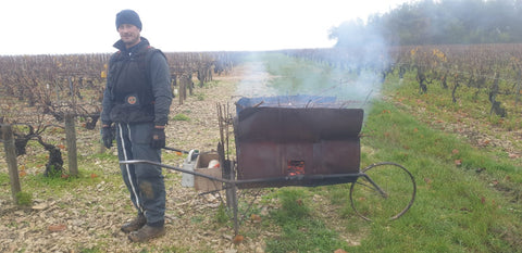 Chablis AOC 2022, Jean-Pierre et Alexandre Ellevin