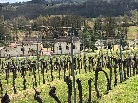 Malbec Cahors Clos du Colombier AOC 2019, Domaine de Lavaur