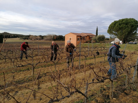 Grenache VdP du Comté de Grignan 2021, Domaine Bois Vieux