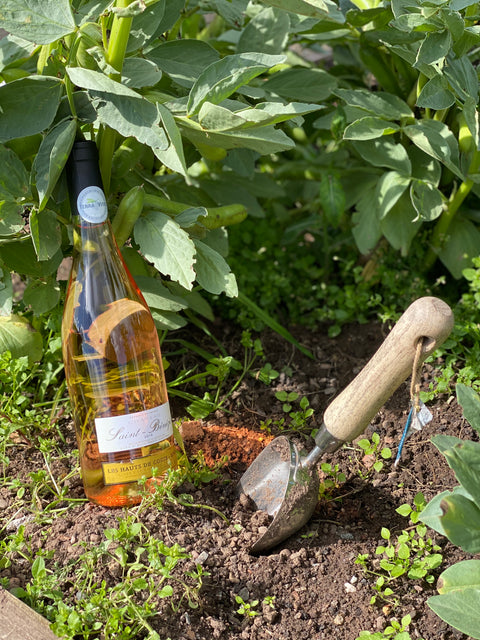 Costières de Nîmes AOP Les Hauts de Coste-Rives 2021 Rosé, Château Saint-Bénézet