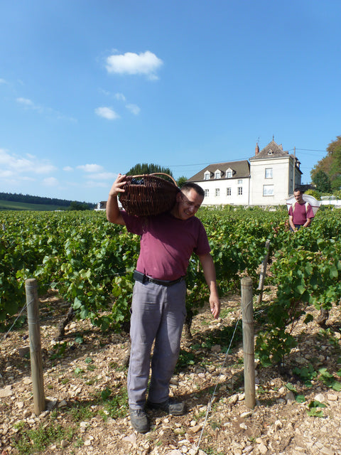 Saint Laurand Collection Privée VdF 2021 Rosé, Les Celliers de Corneille