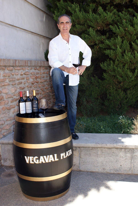 Verdejo Vegaval Plata DO Valdepeñas 2019 - Wine at Home