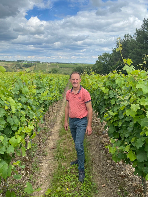 Anjou Gamay AOC 2023, Domaine des Barres