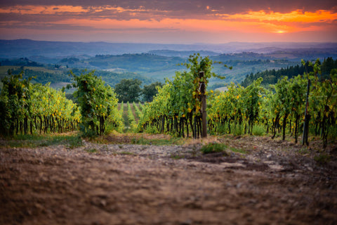 Chianti Maiano DOCG 2019 - Wine at Home