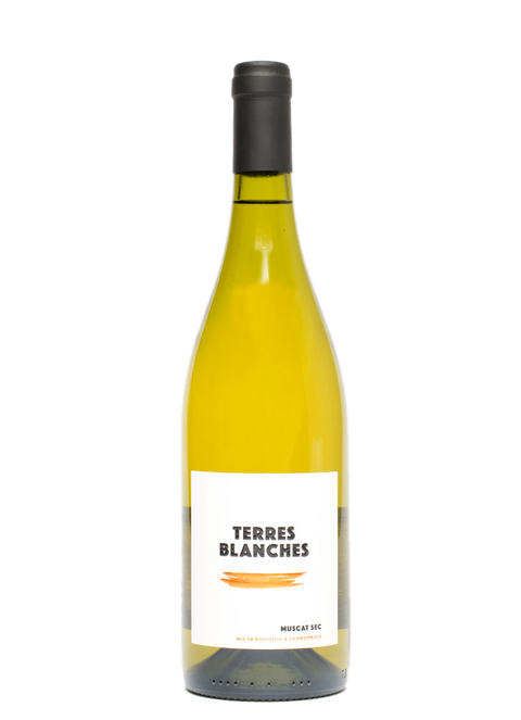 Cépage Muscat  Sec Terres Blanches 2019 - Wine at Home