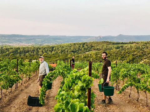 Saint Chinian AOP 2017 Cuvée Las Borios - Wine at Home