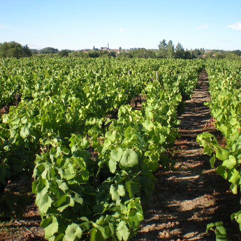 Methode Traditionnelle Cuvée Signée Rosé Domaine R de la Grange