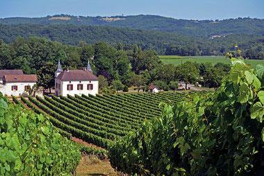 Malbec Cahors AOC 2016 Domaine de Lavaur - Wine at Home