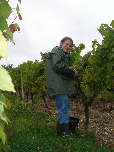 Côteaux du Layon AOC St Aubin 2023, Domaine des Barres