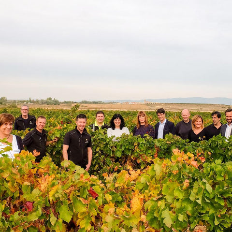 Nuestra Señora de Ujue White DO Navarra 2021, Vega del Castillo