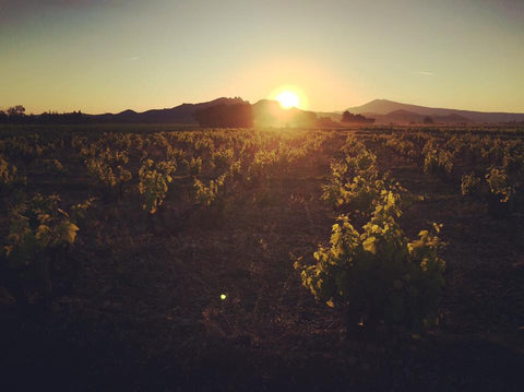 Vacqueyras AOP 2020 Prelude, Domaine de la Verde