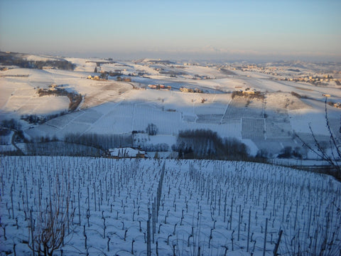 Barolo DOCG Vigneti in Barolo 2018, Dacapo