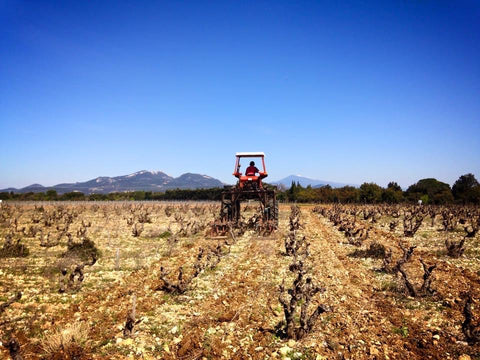 Vacqueyras AOP 2020 Prelude, Domaine de la Verde